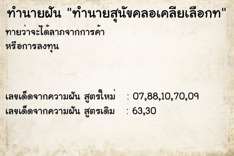ทำนายฝันทำนายสุนัขคลอเคลียเลือกท ทำนายฝันทำนายฝันทำนายสุนัขคลอเคลียเลือกท