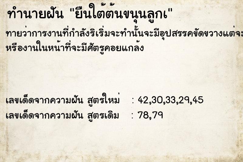 ทำนายฝันยืนใต้ต้นขนุนลูกà ทำนายฝันทำนายฝันยืนใต้ต้นขนุนลูกà