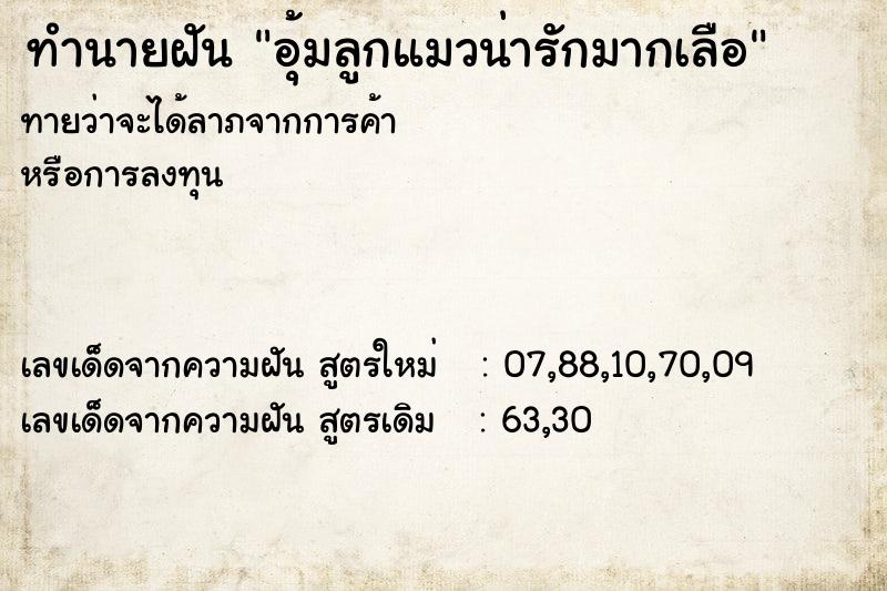 ทำนายฝันอุ้มลูกแมวน่ารักมากเลือ ทำนายฝันทำนายฝันอุ้มลูกแมวน่ารักมากเลือ