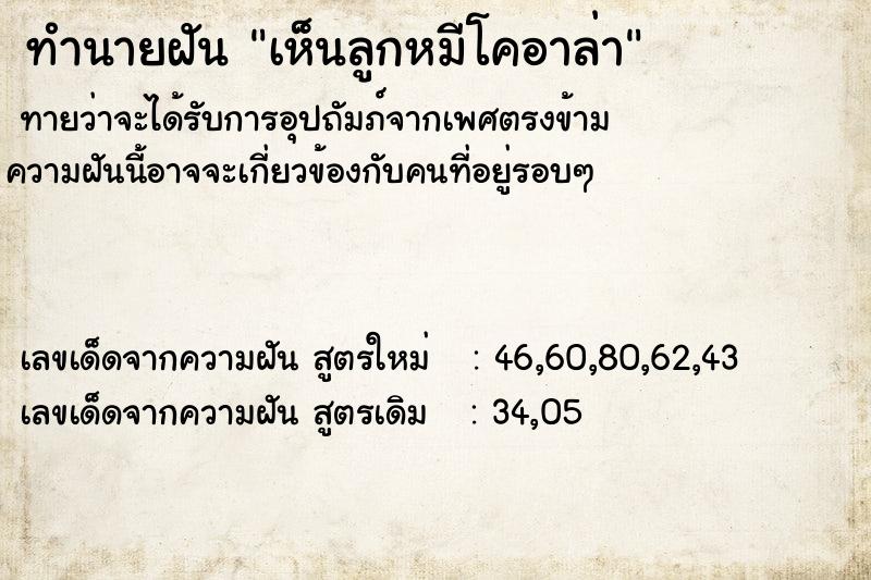 ทำนายฝันทำนายฝันเห็นลูกหมีโคอาล่า