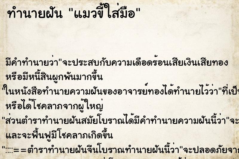ทำนายฝัน แมวขี้ใส่มือ ทำนายฝัน แมวขี้ใส่มือ