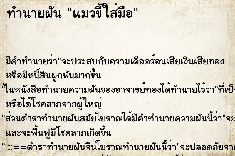 ทำนายฝัน แมวขี้ใส่มือ ตำราโบราณ แม่นที่สุดในโลก