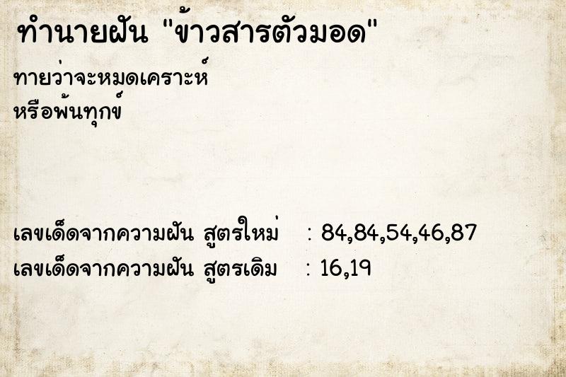 ทำนายฝันข้าวสารตัวมอด ทำนายฝันทำนายฝันข้าวสารตัวมอด