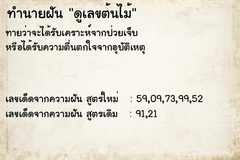 ทำนายฝันดูเลขต้นไม้ ทำนายฝันทำนายฝันดูเลขต้นไม้