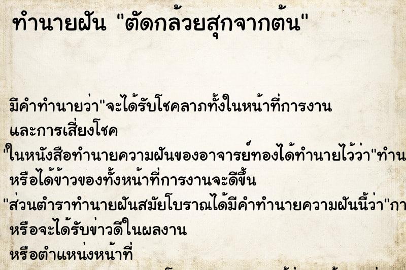 ทำนายฝัน ตัดกล้วยสุกจากต้น ทำนายฝัน ตัดกล้วยสุกจากต้น