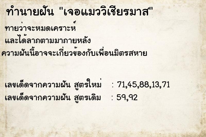 ทำนายฝันทำนายฝันเจอแมววิเชียรมาส