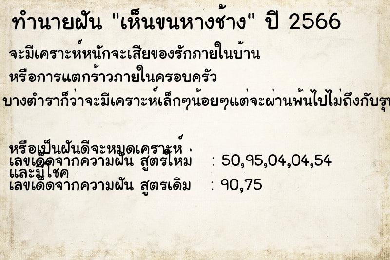 ทำนายฝันทำนายฝันเห็นขนหางช้าง