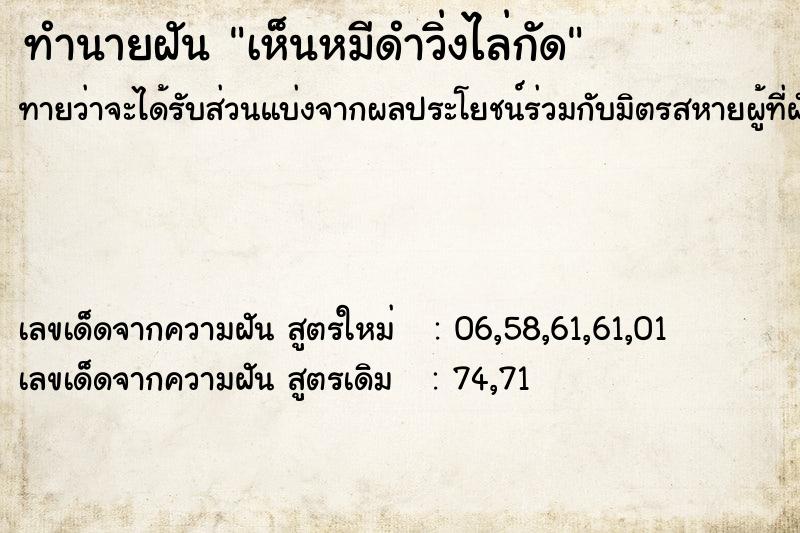 ทำนายฝันเห็นหมีดำวิ่งไล่กัด ทำนายฝันทำนายฝันเห็นหมีดำวิ่งไล่กัด