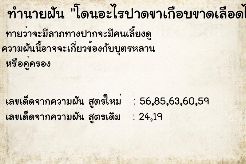 ทำนายฝันโดนอะไรปาดขาเกือบขาดเลือดไหลมาก ทำนายฝันทำนายฝันโดนอะไรปาดขาเกือบขาดเลือดไหลมาก