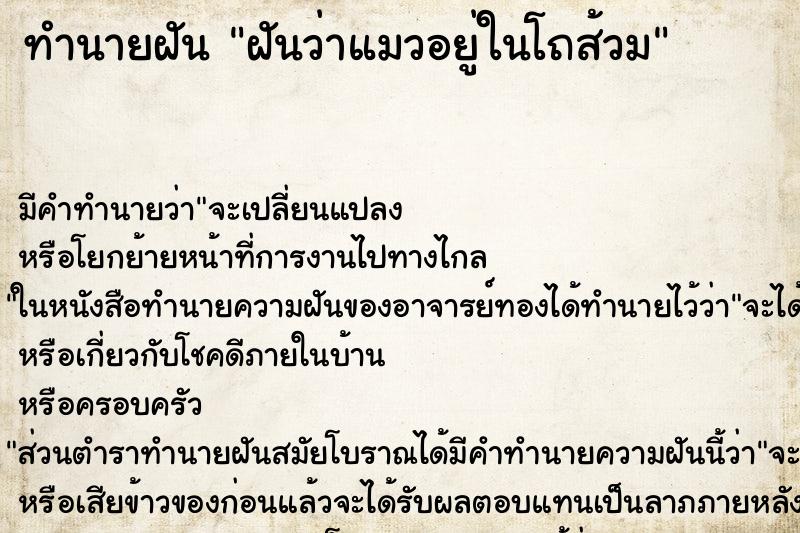 ทำนายฝัน ฝันว่าแมวอยู่ในโถส้วม ตำราโบราณ แม่นที่สุดในโลก