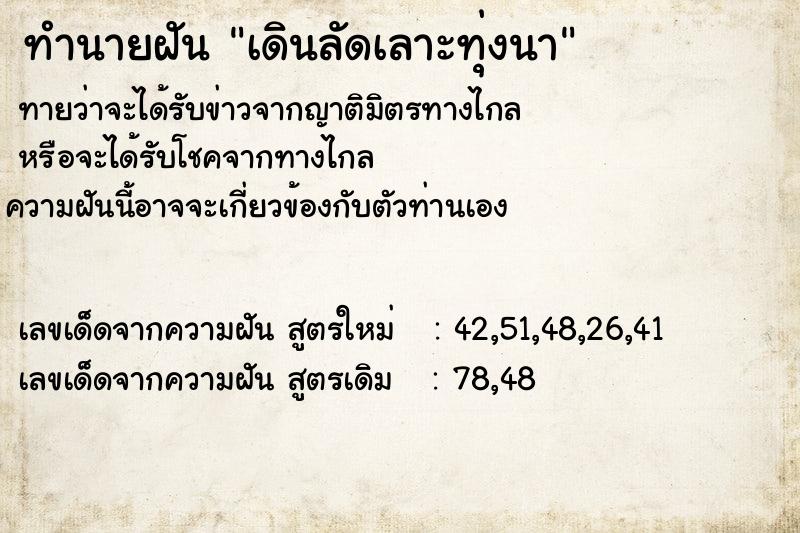 ทำนายฝันทำนายฝันเดินลัดเลาะทุ่งนา