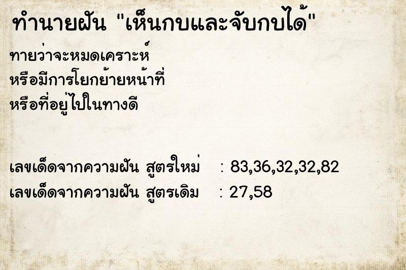 ทำนายฝันทำนายฝันเห็นกบและจับกบได้