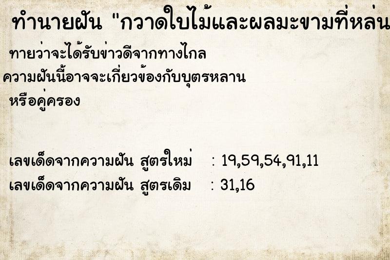 ทำนายฝันกวาดใบไม้และผลมะขามที่หล่นลงมาไปโดนกองขี้ ทำนายฝันทำนายฝันกวาดใบไม้และผลมะขามที่หล่นลงมาไปโดนกองขี้