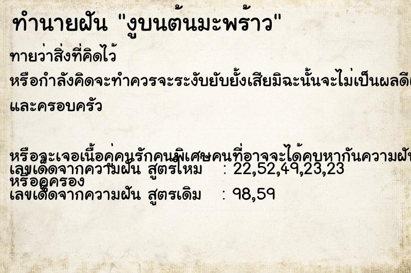 ทำนายฝันทำนายฝันงูบนต้นมะพร้าว
