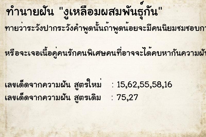 ทำนายฝันงูเหลือมผสมพันธุ์กัน ทำนายฝันทำนายฝันงูเหลือมผสมพันธุ์กัน