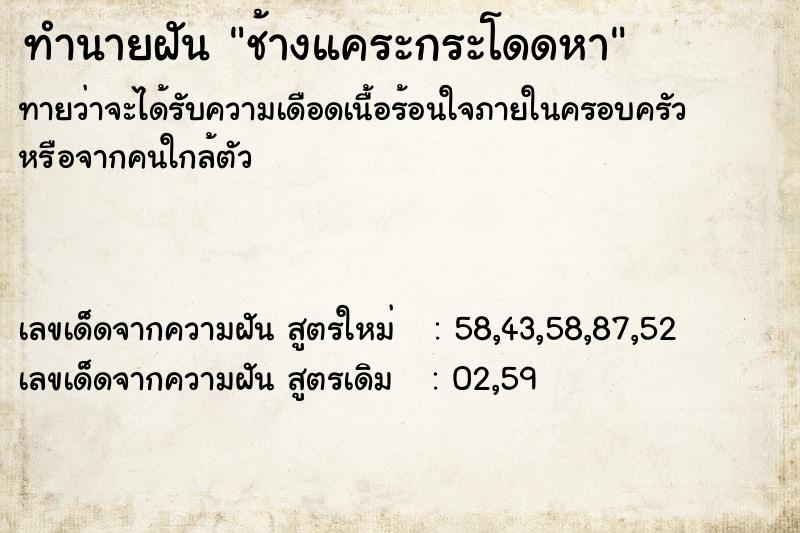 ทำนายฝันช้างแคระกระโดดหา ทำนายฝันทำนายฝันช้างแคระกระโดดหา