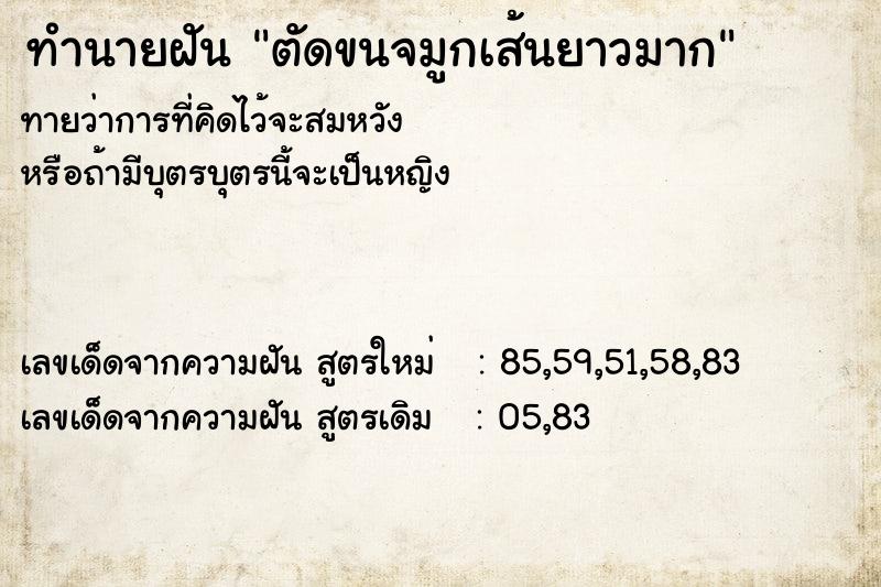 ทำนายฝันตัดขนจมูกเส้นยาวมาก ทำนายฝันทำนายฝันตัดขนจมูกเส้นยาวมาก