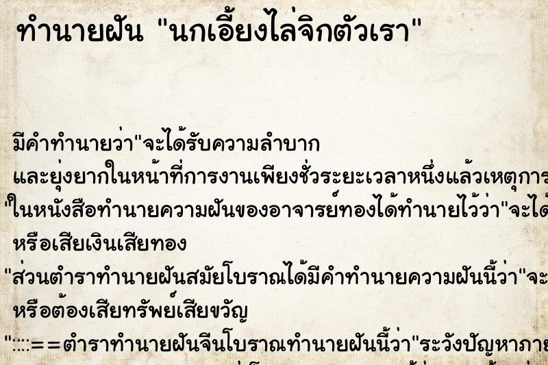 ทำนายฝัน นกเอี้ยงไล่จิกตัวเรา ทำนายฝัน นกเอี้ยงไล่จิกตัวเรา
