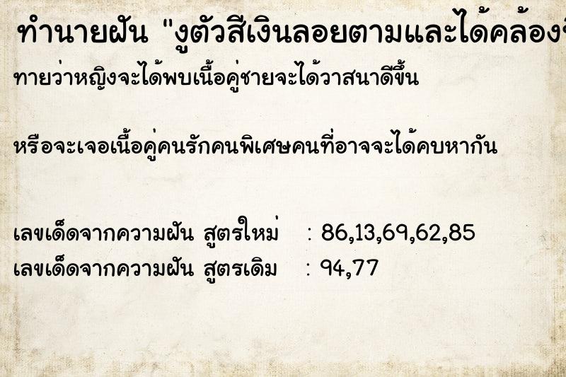 ทำนายฝันทำนายฝันงูตัวสีเงินลอยตามและได้คล้องที่คอตัวเอง