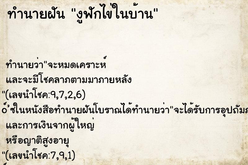 ทำนายฝัน งูฟักไข่ในบ้าน