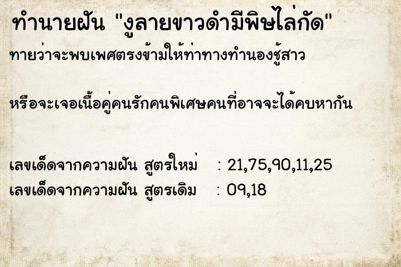 ทำนายฝันงูลายขาวดำมีพิษไล่กัด ทำนายฝันทำนายฝันงูลายขาวดำมีพิษไล่กัด