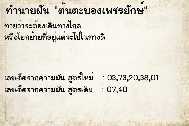 ทำนายฝันต้นตะบองเพชรยักษ์ ทำนายฝันทำนายฝันต้นตะบองเพชรยักษ์