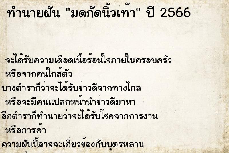 ทำนายฝันมดกัดนิ้วเท้า ทำนายฝันทำนายฝันมดกัดนิ้วเท้า