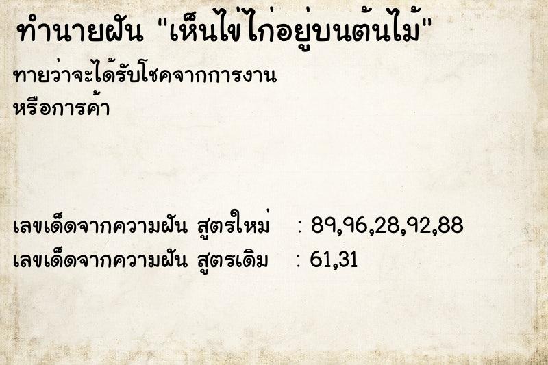 ทำนายฝันเห็นไข่ไก่อยู่บนต้นไม้ ทำนายฝันทำนายฝันเห็นไข่ไก่อยู่บนต้นไม้
