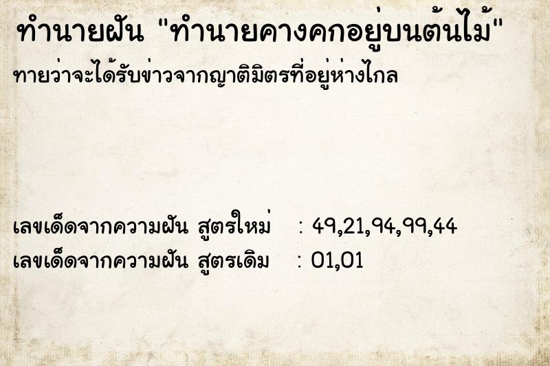 ทำนายฝันทำนายคางคกอยู่บนต้นไม้ ทำนายฝันทำนายฝันทำนายคางคกอยู่บนต้นไม้