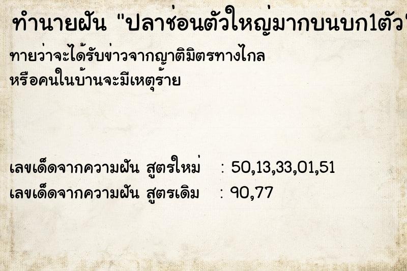 ทำนายฝันปลาช่อนตัวใหญ่มากบนบก1ตัว ทำนายฝันทำนายฝันปลาช่อนตัวใหญ่มากบนบก1ตัว