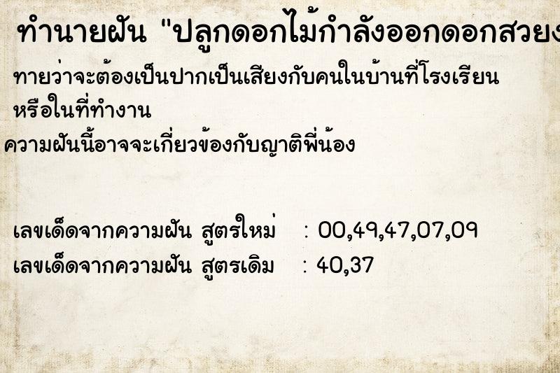 ทำนายฝันทำนายฝันปลูกดอกไม้กำลังออกดอกสวยงามมาก