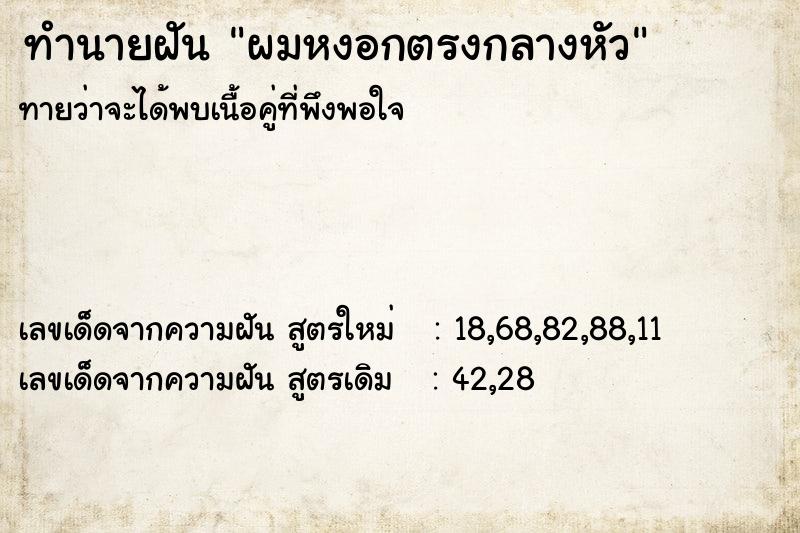 ทำนายฝัน ผมหงอกตรงกลางหัว ทำนายฝัน ผมหงอกตรงกลางหัว