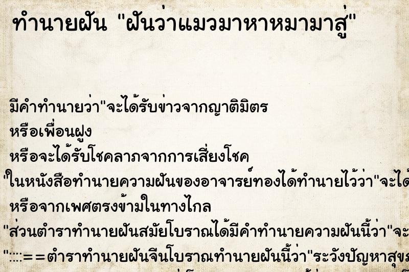 ทำนายฝัน ฝันว่าแมวมาหาหมามาสู่ ทำนายฝัน ฝันว่าแมวมาหาหมามาสู่