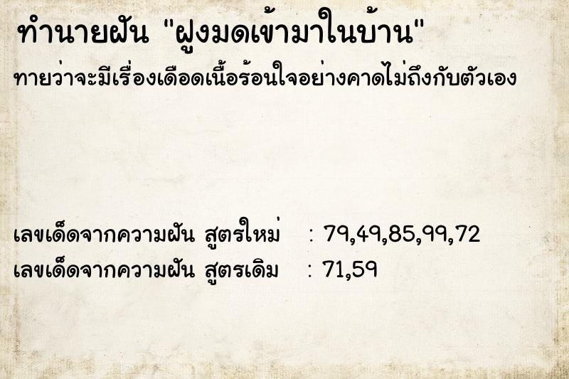 ทำนายฝันฝูงมดเข้ามาในบ้าน ทำนายฝันทำนายฝันฝูงมดเข้ามาในบ้าน