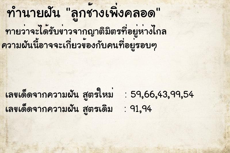 ทำนายฝันลูกช้างเพิ่งคลอด ทำนายฝันทำนายฝันลูกช้างเพิ่งคลอด