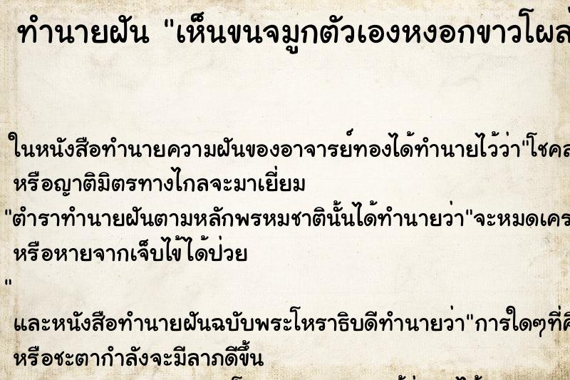 ทำนายฝันเห็นขนจมูกตัวเองหงอกขาวโผล่ออกมาที่รูจมูกตัวเอง ทำนายฝันทำนายฝันเห็นขนจมูกตัวเองหงอกขาวโผล่ออกมาที่รูจมูกตัวเอง