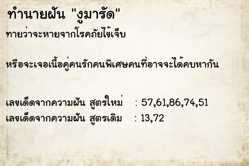 ทำนายฝันงูมารัด ทำนายฝันทำนายฝันงูมารัด