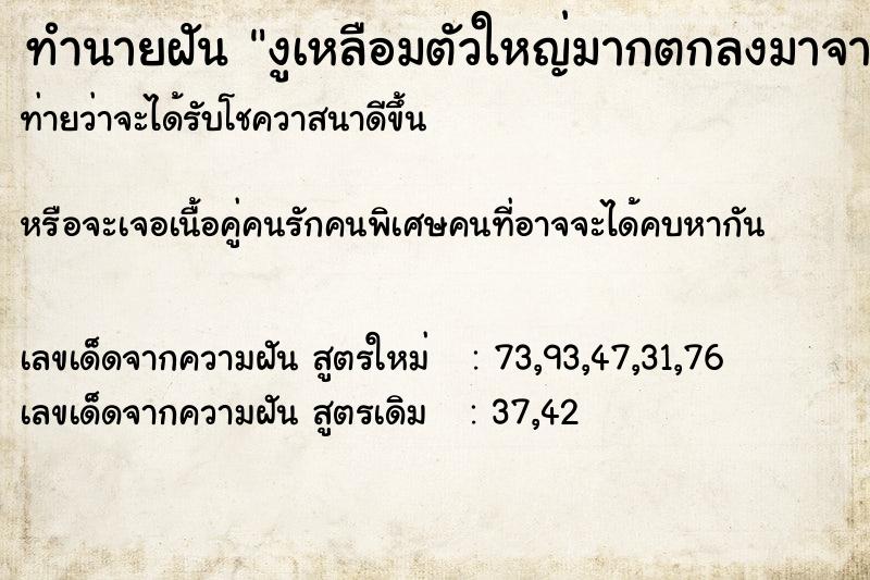 ทำนายฝันงูเหลือมตัวใหญ่มากตกลงมาจากฟ้า ทำนายฝันทำนายฝันงูเหลือมตัวใหญ่มากตกลงมาจากฟ้า