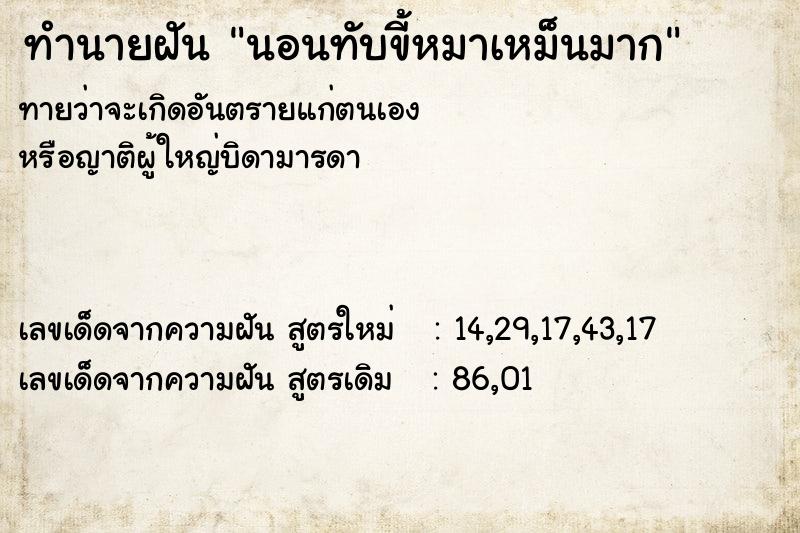 ทำนายฝันทำนายฝันนอนทับขี้หมาเหม็นมาก