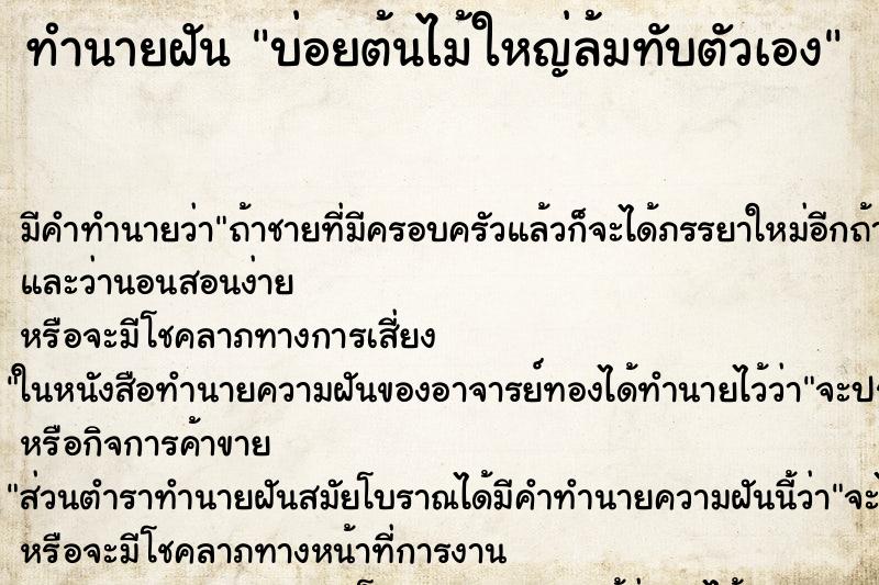 ทำนายฝันบ่อยต้นไม้ใหญ่ล้มทับตัวเอง ทำนายฝันทำนายฝันบ่อยต้นไม้ใหญ่ล้มทับตัวเอง