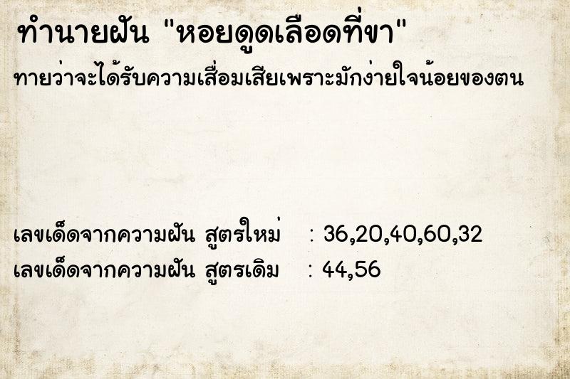 ทำนายฝันหอยดูดเลือดที่ขา ทำนายฝันทำนายฝันหอยดูดเลือดที่ขา