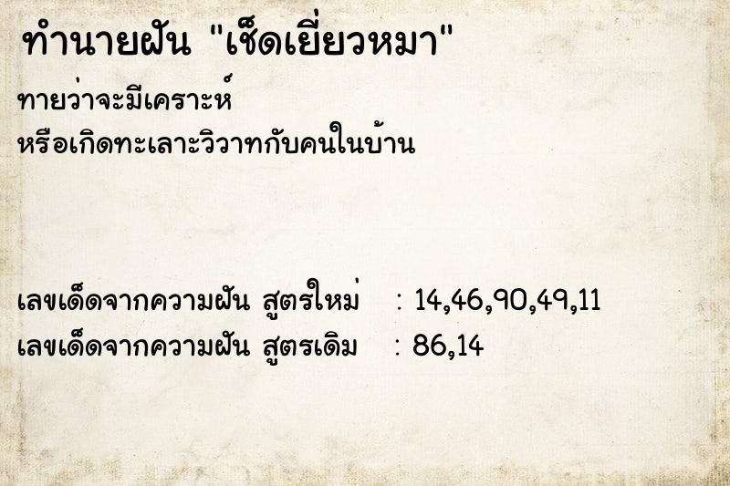 ทำนายฝัน เช็ดเยี่ยวหมา