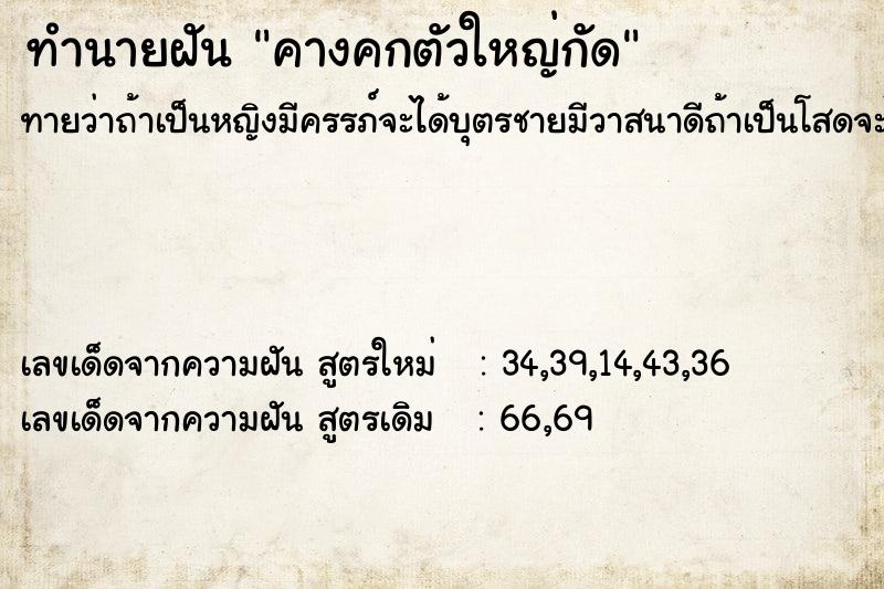 ทำนายฝันคางคกตัวใหญ่กัด ทำนายฝันทำนายฝันคางคกตัวใหญ่กัด