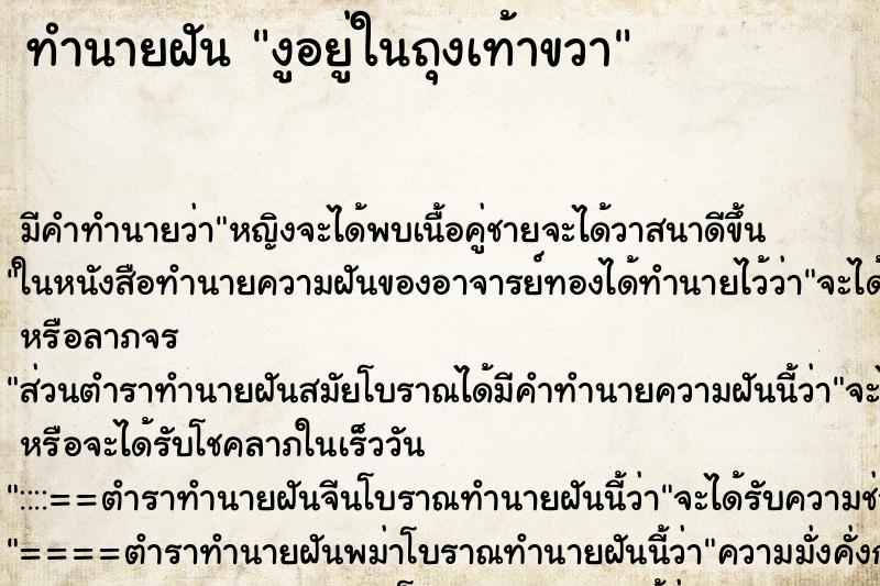 ทำนายฝัน งูอยู่ในถุงเท้าขวา ตำราโบราณ แม่นที่สุดในโลก