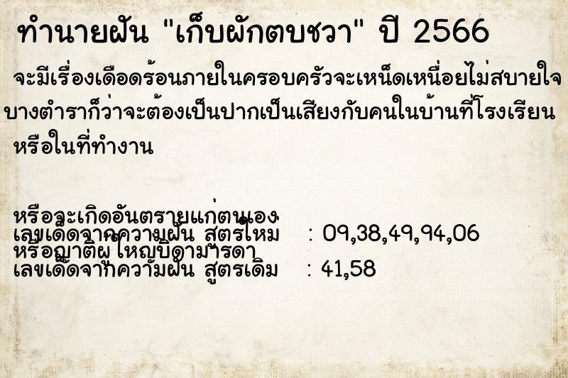 ทำนายฝัน เก็บผักตบชวา