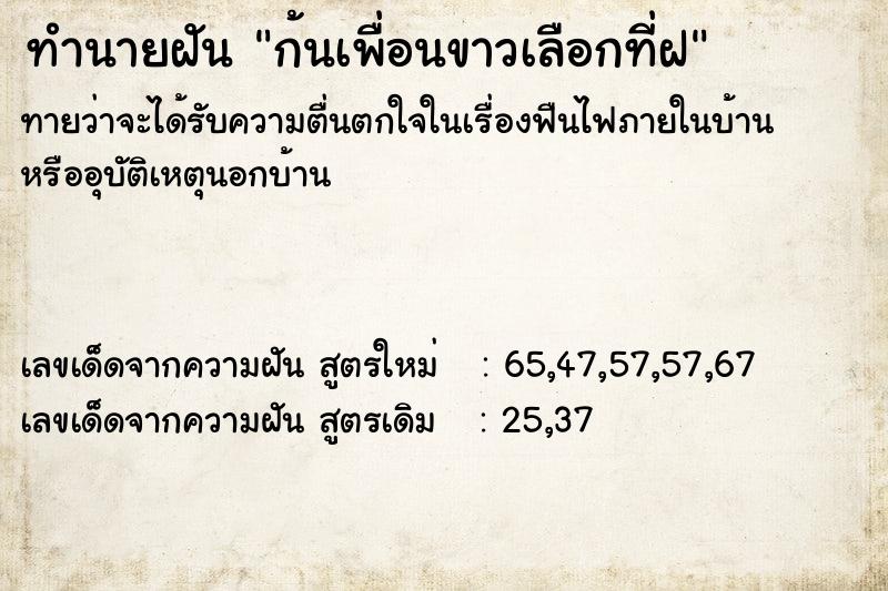 ทำนายฝันทำนายฝันก้นเพื่อนขาวเลือกที่ฝ