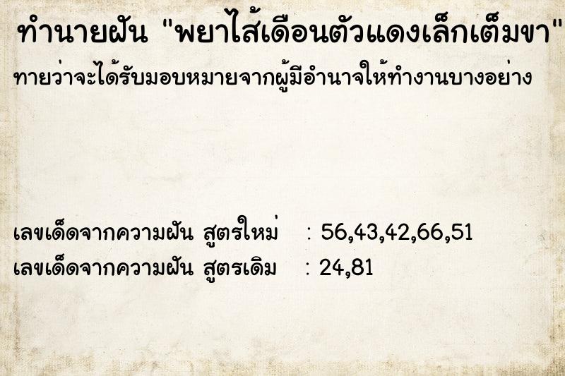 ทำนายฝัน พยาไส้เดือนตัวแดงเล็กเต็มขา ทำนายฝัน พยาไส้เดือนตัวแดงเล็กเต็มขา