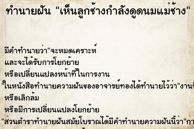 ทำนายฝัน เห็นลูกช้างกำลังดูดนมแม่ช้าง ทำนายฝัน เห็นลูกช้างกำลังดูดนมแม่ช้าง