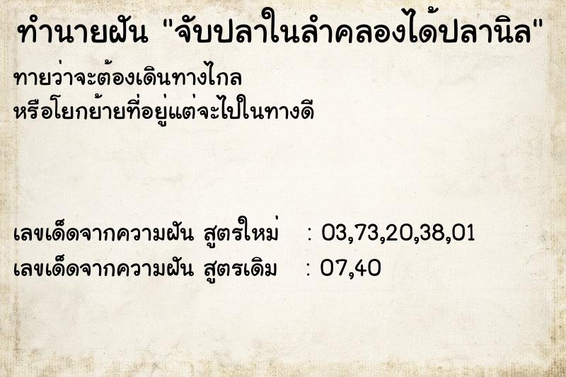 ทำนายฝันทำนายฝันจับปลาในลำคลองได้ปลานิล