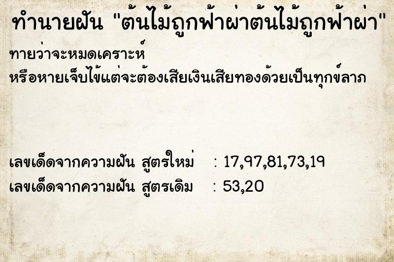 ทำนายฝันต้นไม้ถูกฟ้าผ่าต้นไม้ถูกฟ้าผ่า ทำนายฝันทำนายฝันต้นไม้ถูกฟ้าผ่าต้นไม้ถูกฟ้าผ่า
